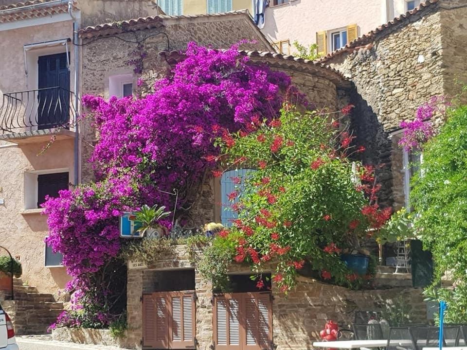 Maison De Vacances Medievale Bormes-Les-Mimosas Village Εξωτερικό φωτογραφία