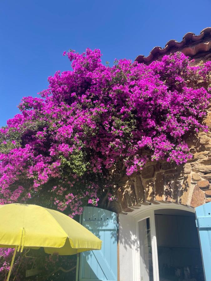 Maison De Vacances Medievale Bormes-Les-Mimosas Village Εξωτερικό φωτογραφία