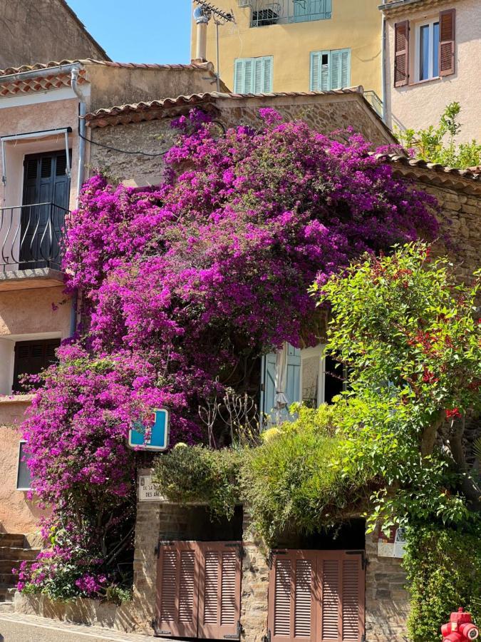 Maison De Vacances Medievale Bormes-Les-Mimosas Village Εξωτερικό φωτογραφία