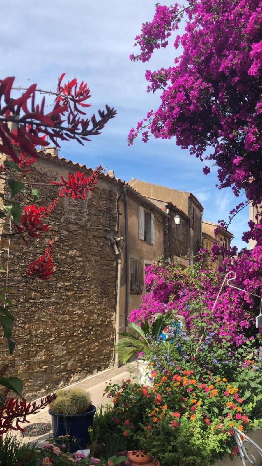 Maison De Vacances Medievale Bormes-Les-Mimosas Village Εξωτερικό φωτογραφία