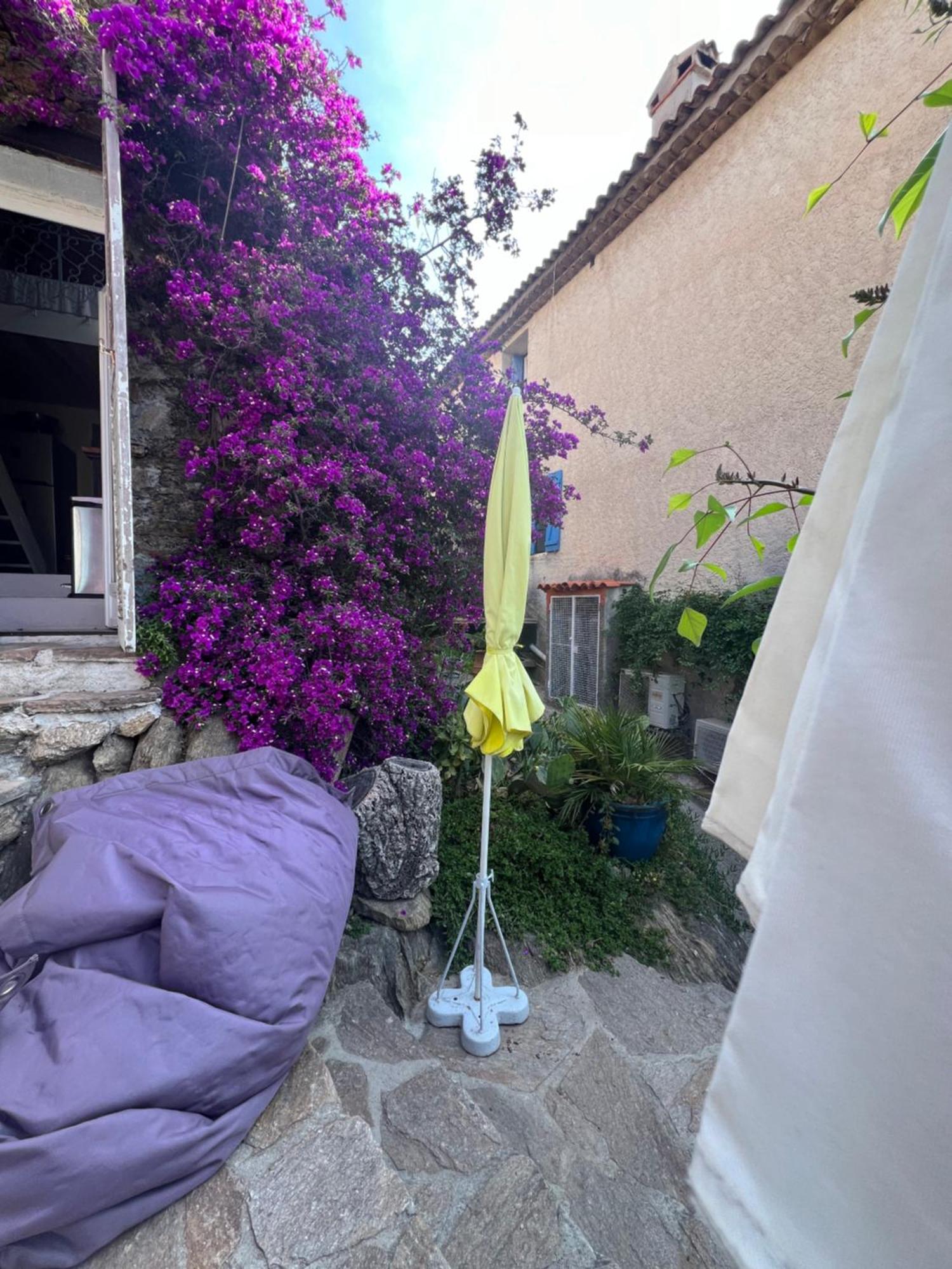 Maison De Vacances Medievale Bormes-Les-Mimosas Village Εξωτερικό φωτογραφία